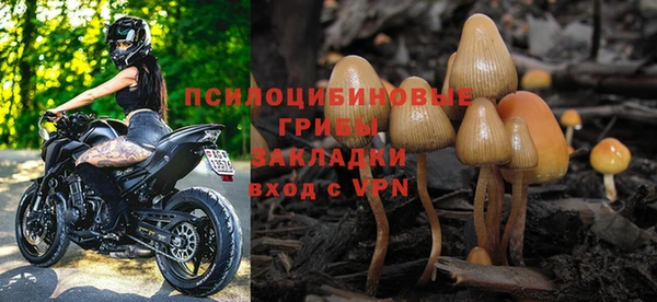 прущий лед Горно-Алтайск